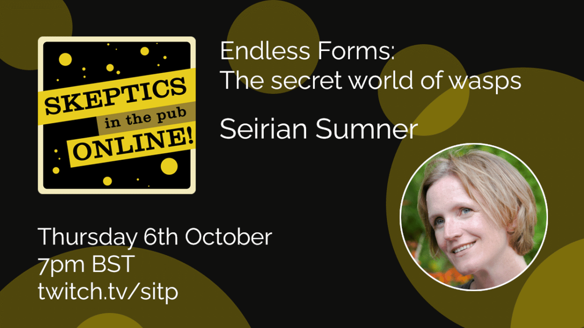 Endless Forms: The secret world of wasps - Seirian Sumner